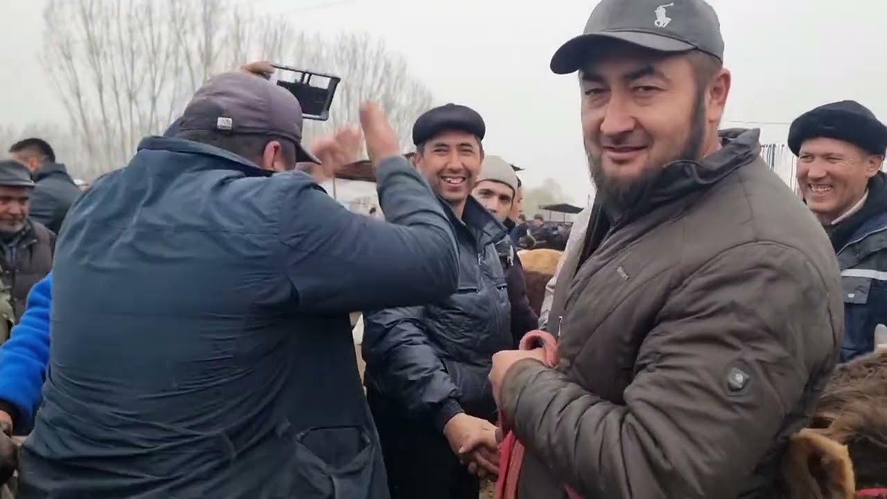 Mol bozorda qiziqarli xolatlar bozori шахрихон мол бозори йанги нархлар