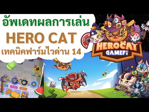 Hero Cat อัพเดตผลการเล่น แลพเทคนิคฟาร์มไวด่าน 14