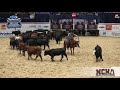 2021 ncha futurity open champion janie wood shown by john mitchell