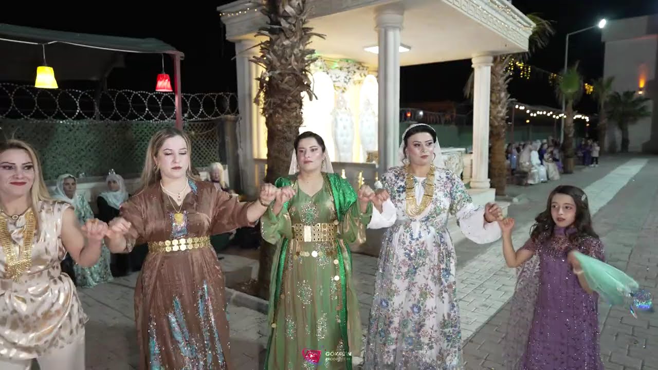 Mehmet Ermegan Dügünü Part 3 ( Grup Welat Silopi ) 2025