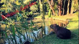 Botanic Garden - Rio de Janeiro | Brazil