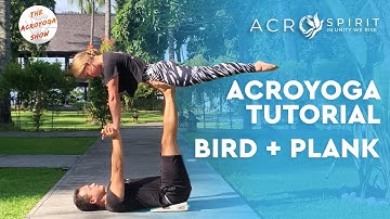 AcroYoga Tutorial (BIRD + PLANK) - Learn How to Acro Yoga for Beginners - The Acroyoga Show