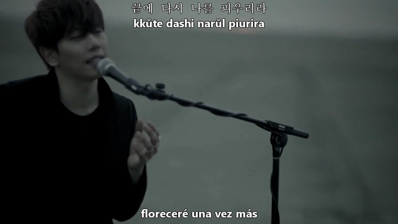 Park Hyo Shin - Wild Flower MV [Sub Español + Hangul + Romanización