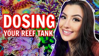 A Simple Guide to Reef Tank Dosing