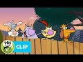 Nature Cat and Animal Habitats