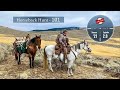 Horseback Hunting in Wyoming: a How To & everything you need to know before your guided Horse Hunt