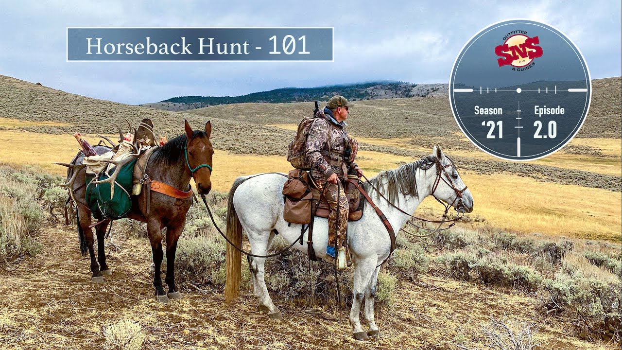 Horseback Hunting in Wyoming a How To & everything you need to know