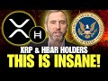 SEC Moves to Boost XRP & HBAR: What This Means for Crypto Investors 🚀