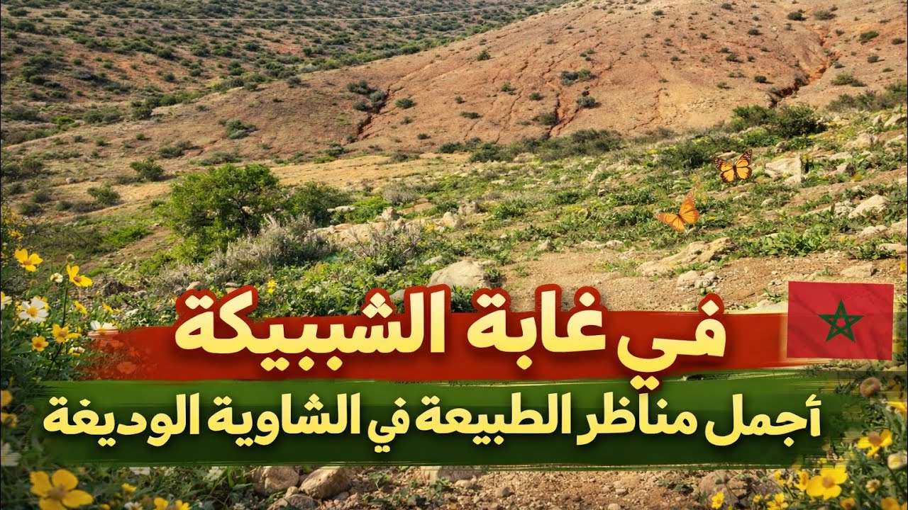 غابة الشبيكة في الشاوية ورديغة المغرب 🇲🇦 | مناظر طبيعية خلابة وجولة سياحية رائعة 2026 مزرعة الطبيعة 