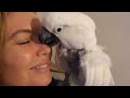 I Have Good News & It's Because Of You! | Bird Room Update