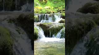 ASMR 🌊 Deep Sleep Brown Noise: Real Forest River Sounds for Insomnia & Absolute Focus (No Music)