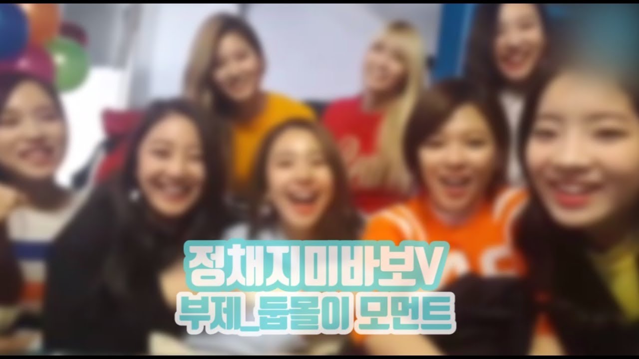 [트와이스하세요] 정채지미바보 브이 (부제_둡몰이 모먼트)