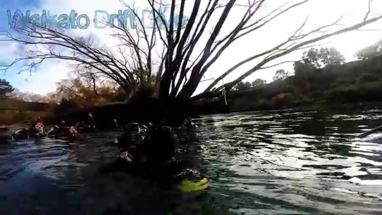 Waikato Drift Dive 2014   DIVEHQ ALBANY