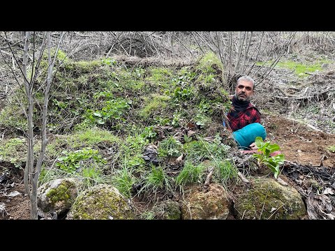 Построить убежище в дикой местности / Зимний кемпинг Bushcraft