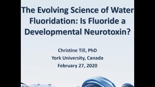 The Evolving Science of Fluoride Neurotoxicity