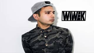Wiwek - Angry Birdz (Biotecnology Bootleg)