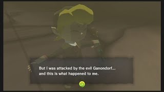 The Legend of Zelda Wind Waker HD: The Wind Temple Sage