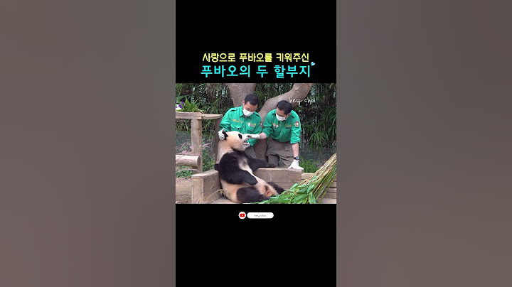 강할부지 송할부지가 내 할부지라서 푸바오는 행복해요💕ㅣ#Shorts#푸바오#강바오#송바오