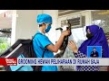 Grooming hewan peliharaan dari rumah inewssiang 0403