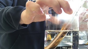 LeChatelier Iron Thiocyanate Temp