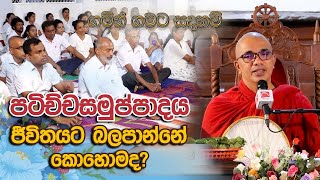 පටිච්චසමුප්පාදය ජීවිතයට බලපාන්නේ කොහොමද? | 2024 05 19 | ගමින් ගමට සඳහම් | Gamin Gamata Sadaham