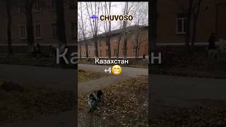 #восточныйказахстан #согра #постышева #егорова #сезондождей #travel #комфортнаясреда #brasil #amor
