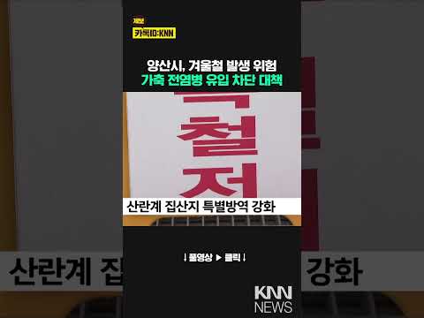 <strong>양산시</strong>, 가축 전염병 유입 차단 특별 대응 추진/ KNN