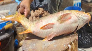 Amazing Catla Carp Fish Cutting & Chopping In Fish Market | Fish Cutting Skills