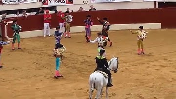 Corrida Paseo Vic Fezensac 2015 taureau José Escolar Gil