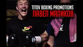 Titov Boxing Promotions - Павел Маликов