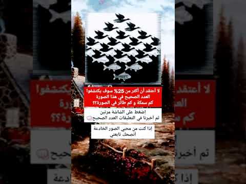 لأصحاب العقول الغير عاديه كم سمكه وكم طائر يوجد في هذي الصوره إجابتك دليل على تركيزك وقوة عقلك