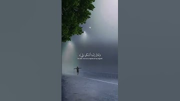 القران الكريم راحة نفسية تلاوة خاشعة حالات واتساب قران كريم 💙🩵🍁💙 #حالات_واتس_اب