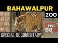 Bahawalpur zoo  special documentary  news box 