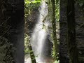 Hidden Gems, finding Paradise in the Jungle