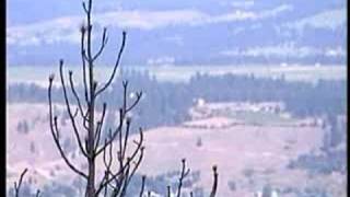 Defensible space helped save some homes