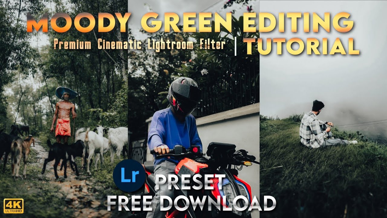 Moody Green Lightroom Preset Free download | Lightroom Mobile Tutorial | Lightroom DNG Free Download