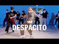Luis Fonsi - Despacito ft. Daddy Yankee / Learner’s Class
