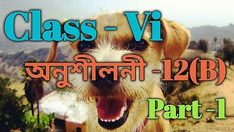 Class 6 Math Ex-12(B) Part 1 / Sankardev Dishu Niketan / Babu