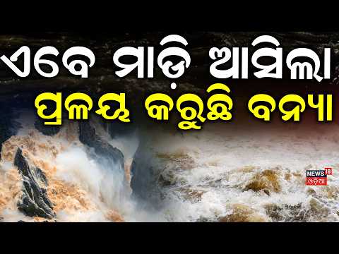 ଏବେ ଏବେ ମାଡ଼ି ଆସିଲା ବନ୍ୟା |  Flood Threat in Odisha| Mahanadi Flood Alert | Flood News