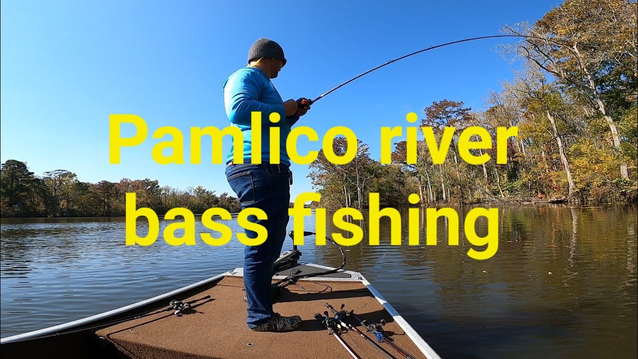 NC Pamlico river bass fishing (Crankbaits) YouTube