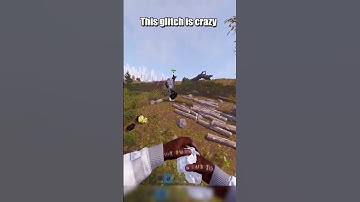 I found this new glitch in rust #rust