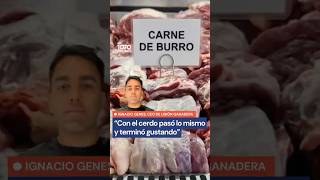 Unión Ganadera sobre la CARNE DE BURRO: “Con el cerdo pasó lo mismo y terminó gustando”