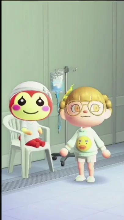 모동숲 강아지 받는 법
