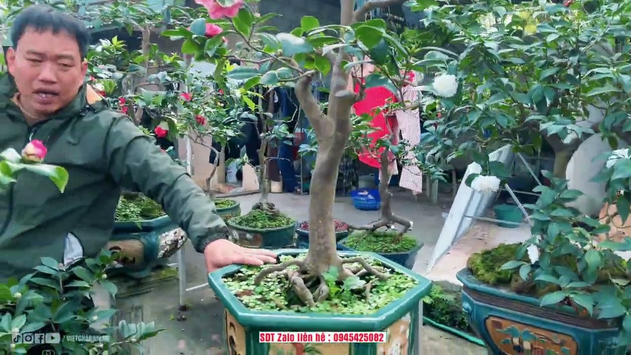 Trà My Biếu Sếp , Lãnh Đạo Toàn Cực Phẩm - NV Phạm Tuyến