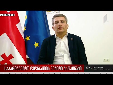 საპარლამენტო დელეგაციის ვიზიტი უკრაინაში - „დღის თემის“ შეკითხვებს მამუკა მდინარაძემ უპასუხა