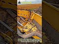 見るだけで爽快なテンサイの自動回収・選別作業 #worker #process #efficient #agriculturelife #farmingtools