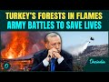 Turkey BURNS As MASSIVE Fire Tears Through Sakarya Mountains 100 Evacuated Army Battles Wildfire 