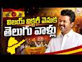 విజయ్ విక్టరీలో తెలుగు వాళ్లు హవా | Tamilnadu Elections 2026 |Tvk Vijay Thalapathy | SumanTV