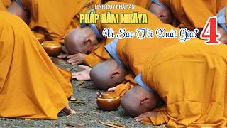 Pháp Đàm NIKAYA - Vì Sao Tôi Xuất Gia 6 ?