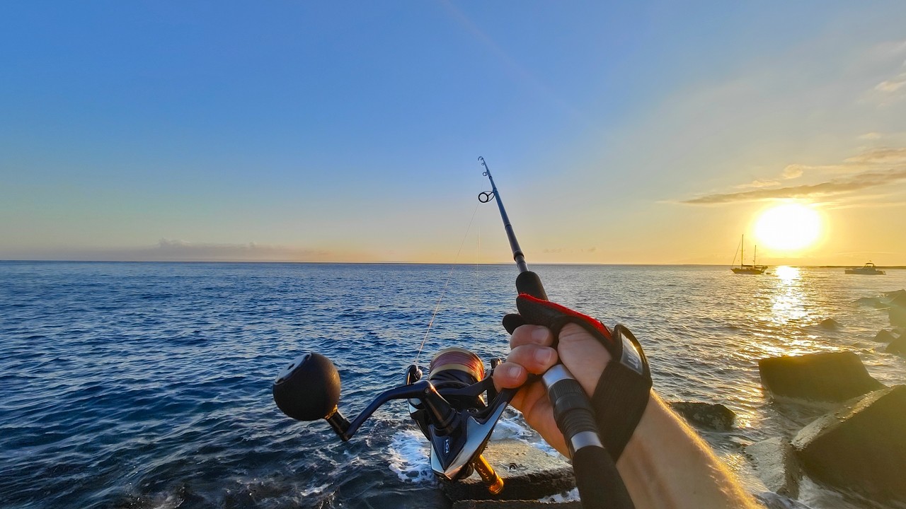 Tenerife Fishing Trip – The Best Moments